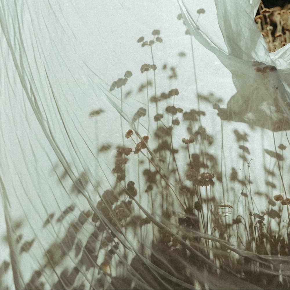 POSH PROFILE: HELLO!